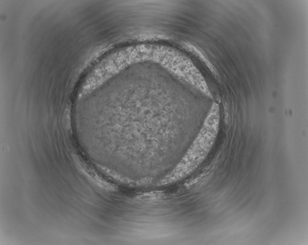 X0000077320447200611171746