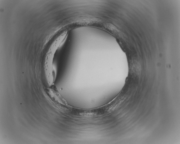 X0000077320448200611171746