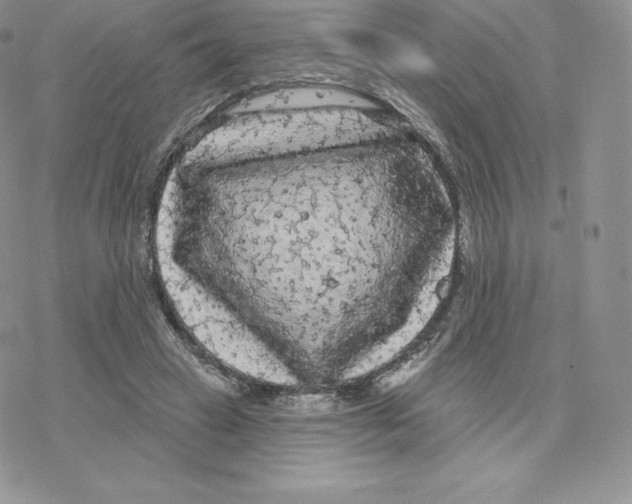 X0000077320449200611171746