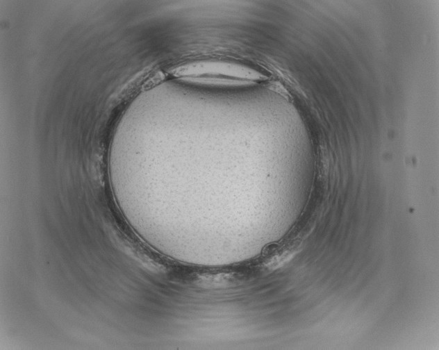 X0000077320450200611171746