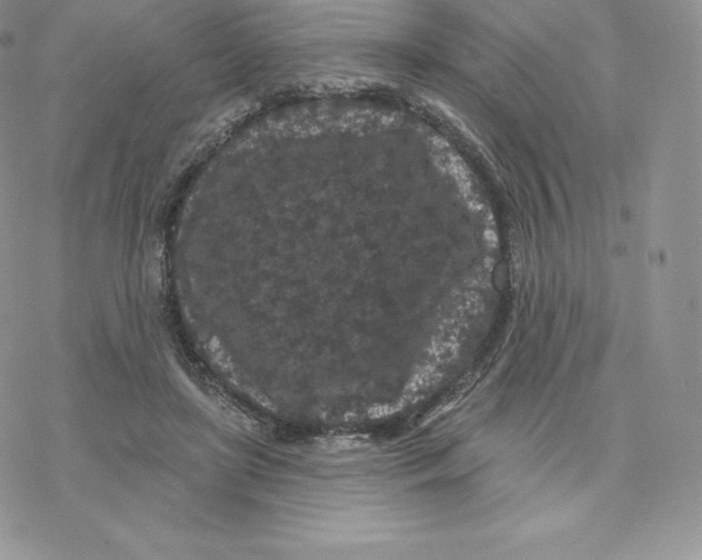 X0000077320451200611171746