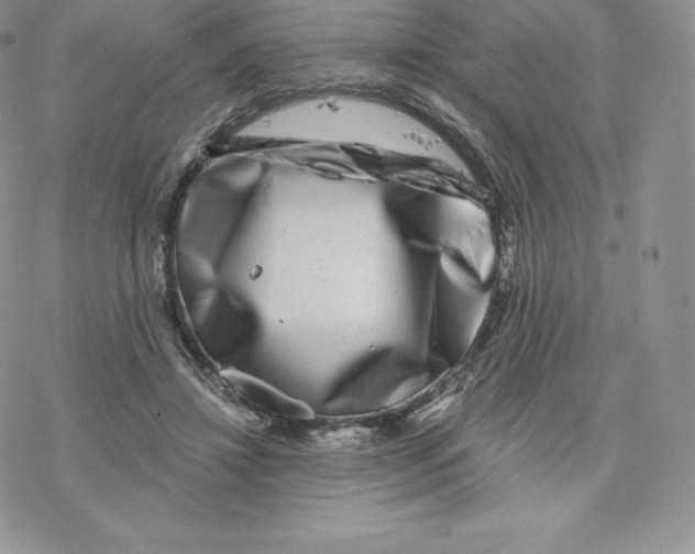 X0000077320452200611171746