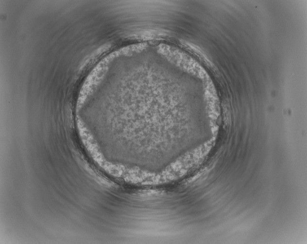 X0000077320453200611171746