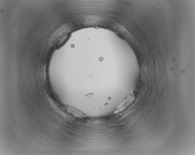 X0000077320454200611171746