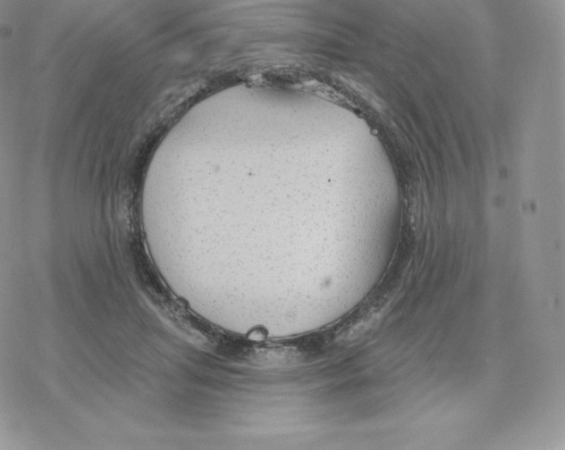 X0000077320455200611171746