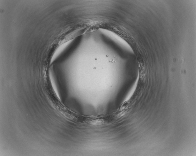 X0000077320456200611171746