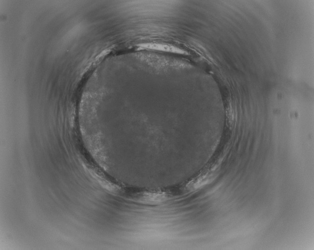 X0000077320458200611171747