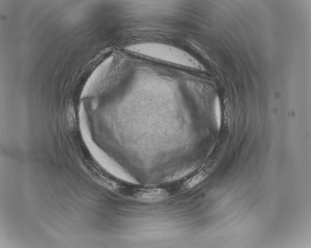 X0000077320459200611171747