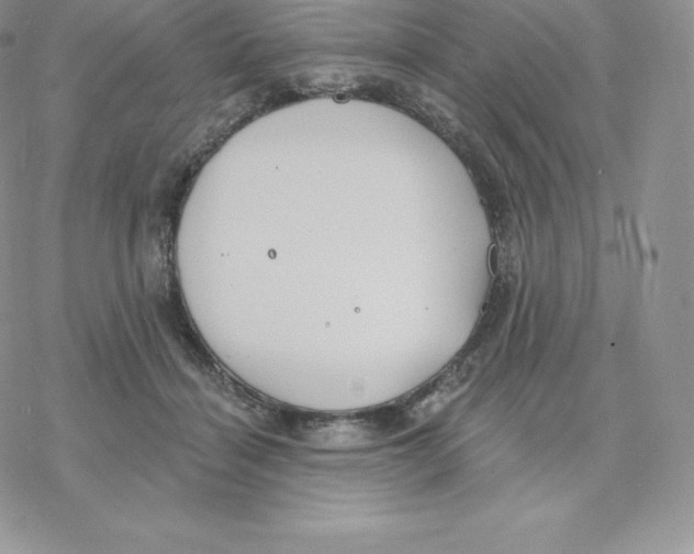 X0000077320460200611171747