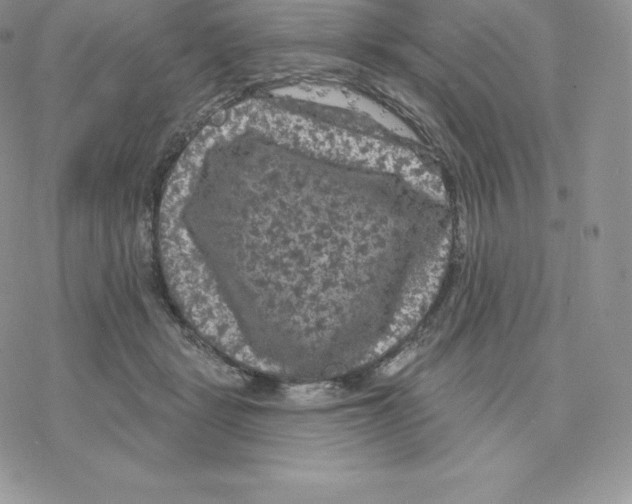 X0000077320461200611171747