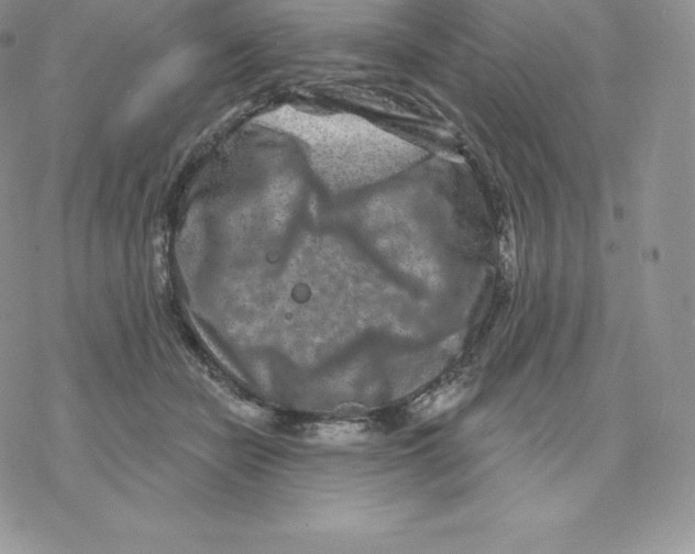 X0000077320462200611171747