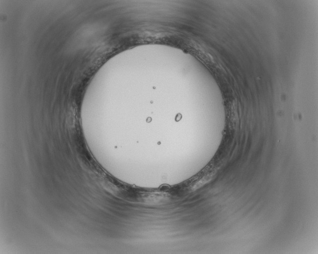 X0000077320463200611171747