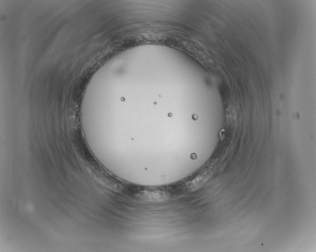 X0000077320464200611171747