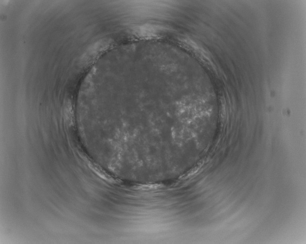 X0000077320465200611171747