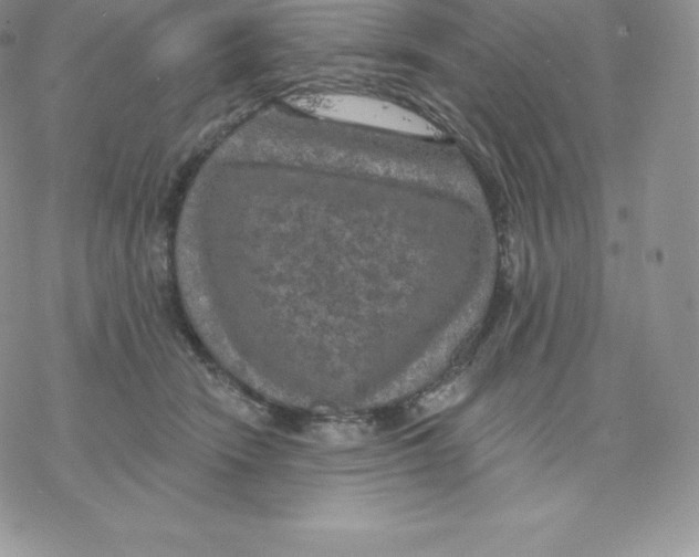 X0000077320466200611171747