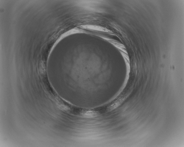 X0000077320467200611171747