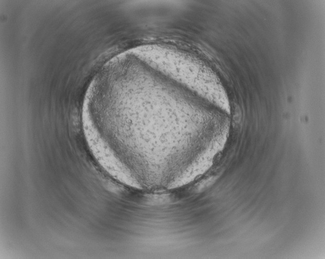 X0000077320469200611171747