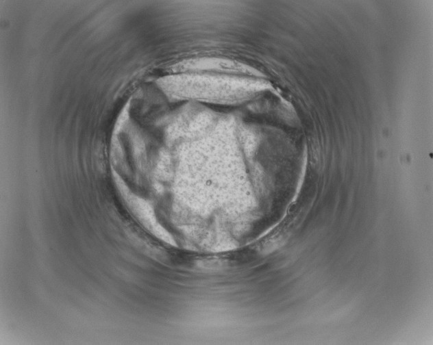 X0000077320470200611171747