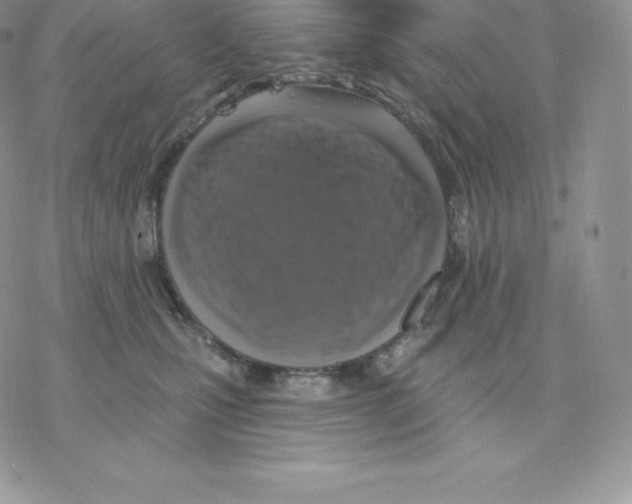 X0000077320471200611171747