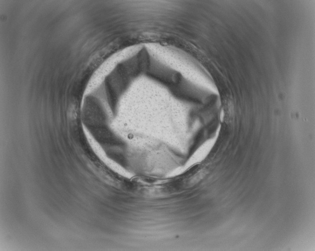 X0000077320472200611171747