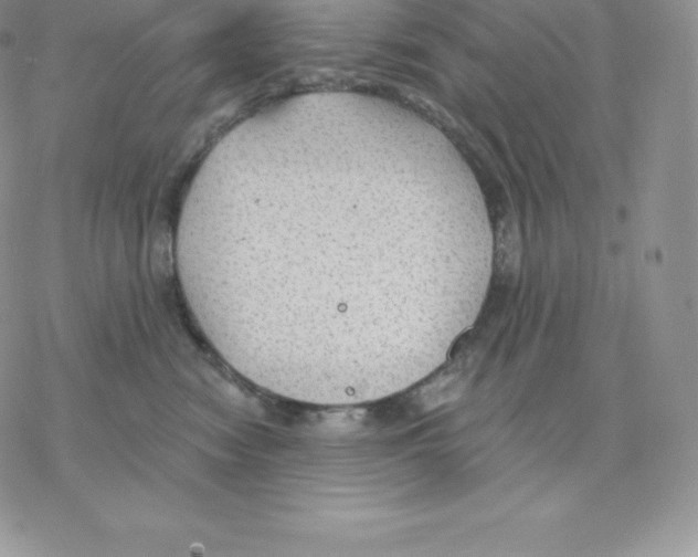 X0000077320474200611171747