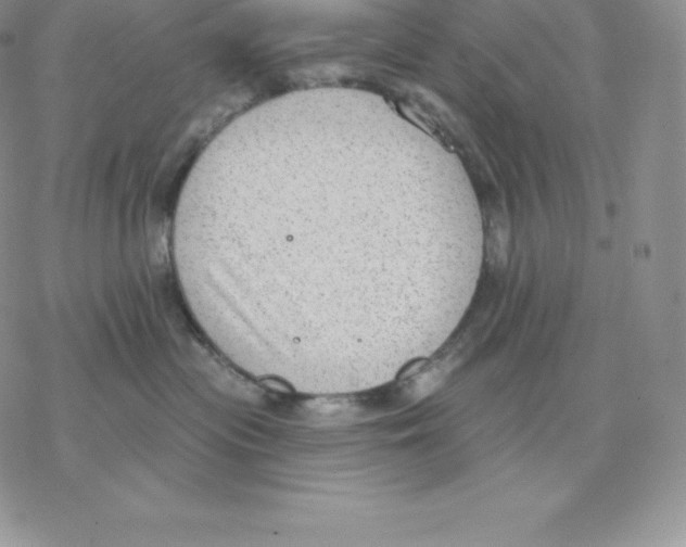 X0000077320477200611171747