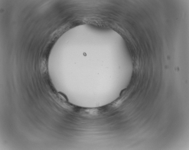 X0000077320478200611171747