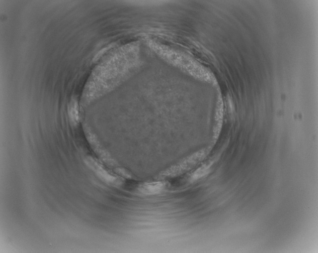 X0000077320479200611171747