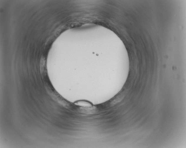 X0000077320480200611171747