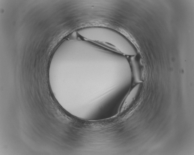 X0000077320481200611171746