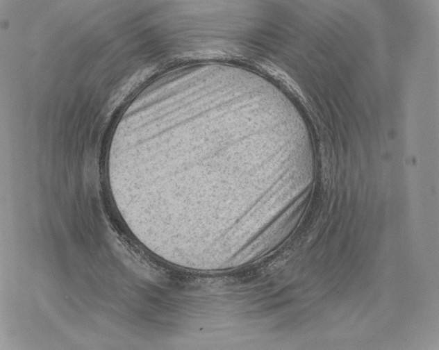 X0000077320482200611171746