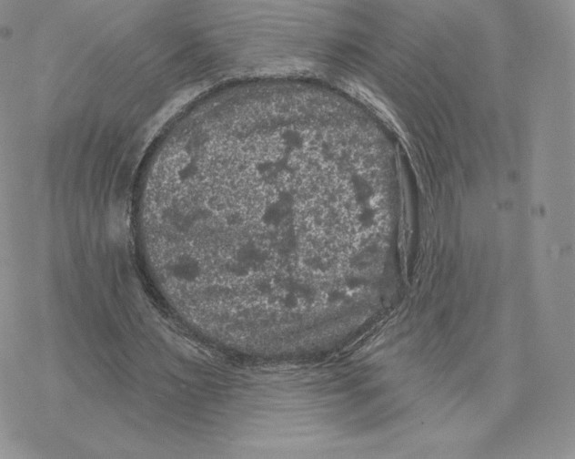 X0000077320483200611171746