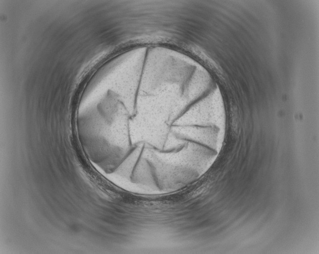 X0000077320486200611171746