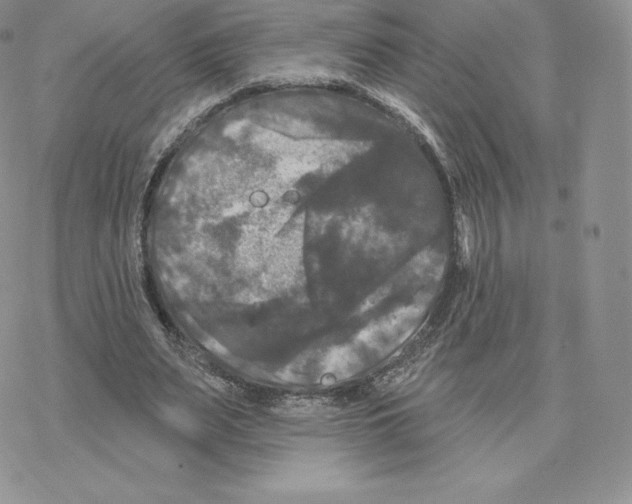 X0000077320487200611171746