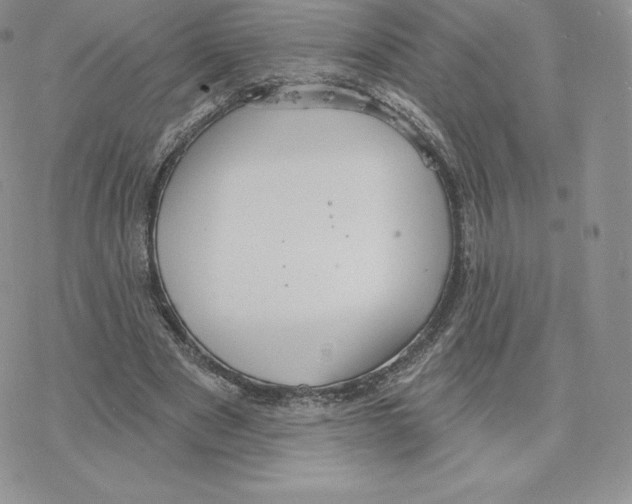 X0000077320489200611171746