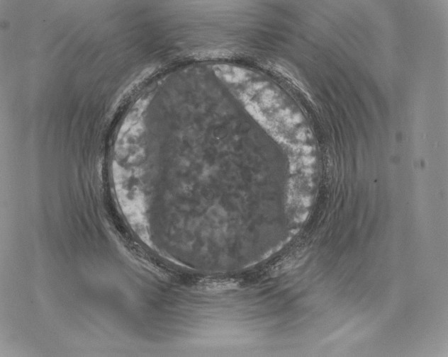 X0000077320491200611171746