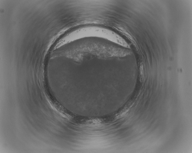 X0000077320492200611171746