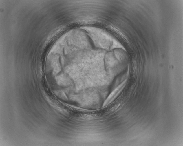 X0000077320494200611171746