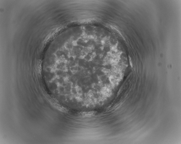 X0000077320495200611171746