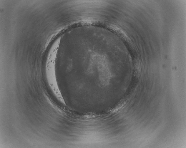 X0000077320496200611171746