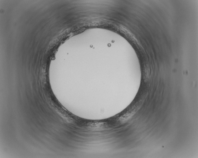 X0000077320497200611171746