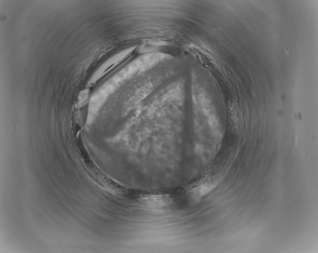 X0000077320499200611171746