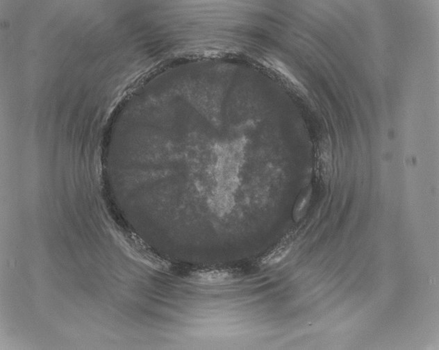 X0000077320500200611171746