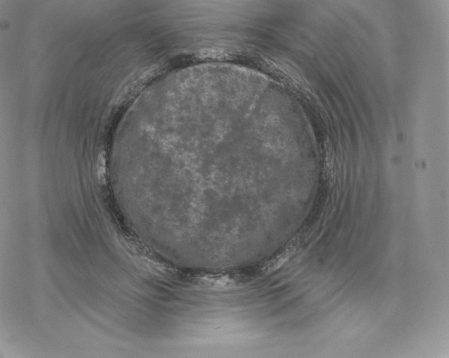 X0000077320502200611171746