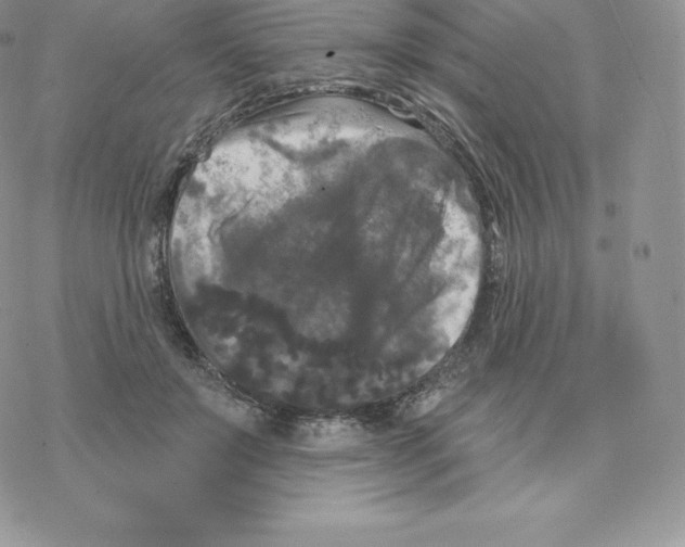 X0000077320503200611171746