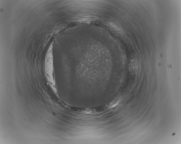 X0000077320504200611171746