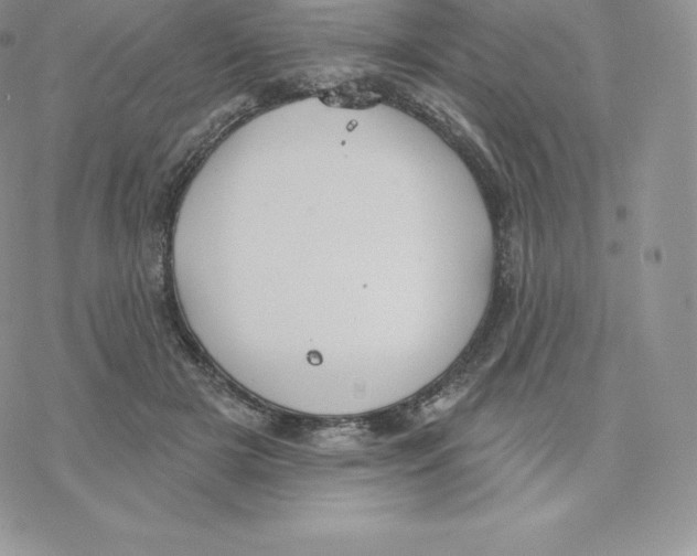 X0000077320505200611171746