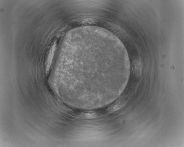 X0000077320506200611171746