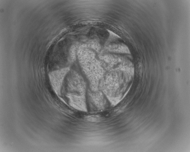 X0000077320508200611171746