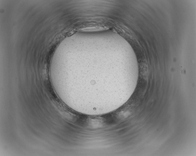 X0000077320510200611171746